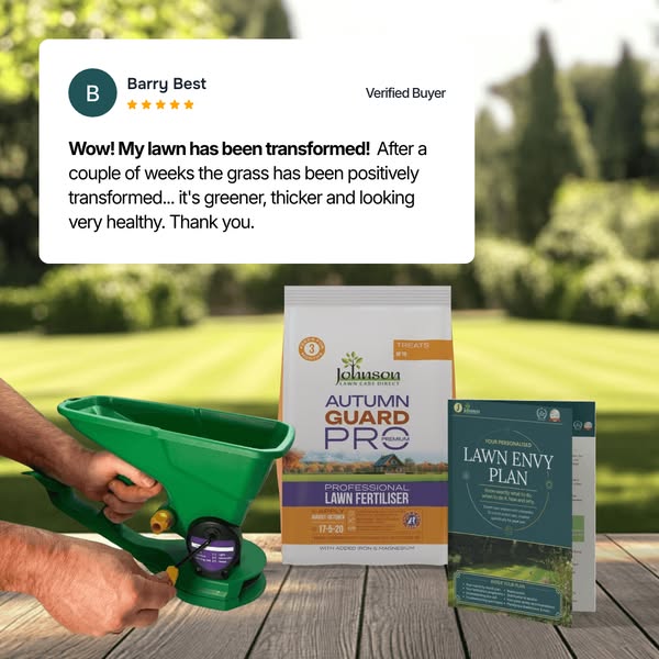 Revive your lawn with a single autumn feed