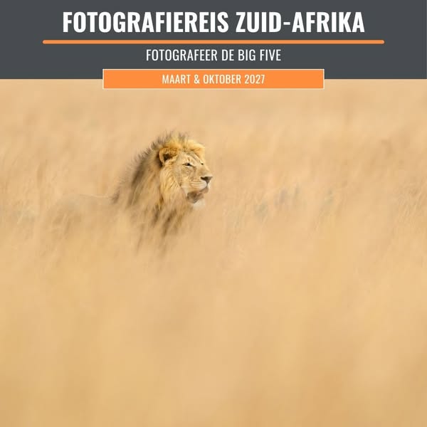De Big Five fotograferen in een privéreservaat zonder drukte