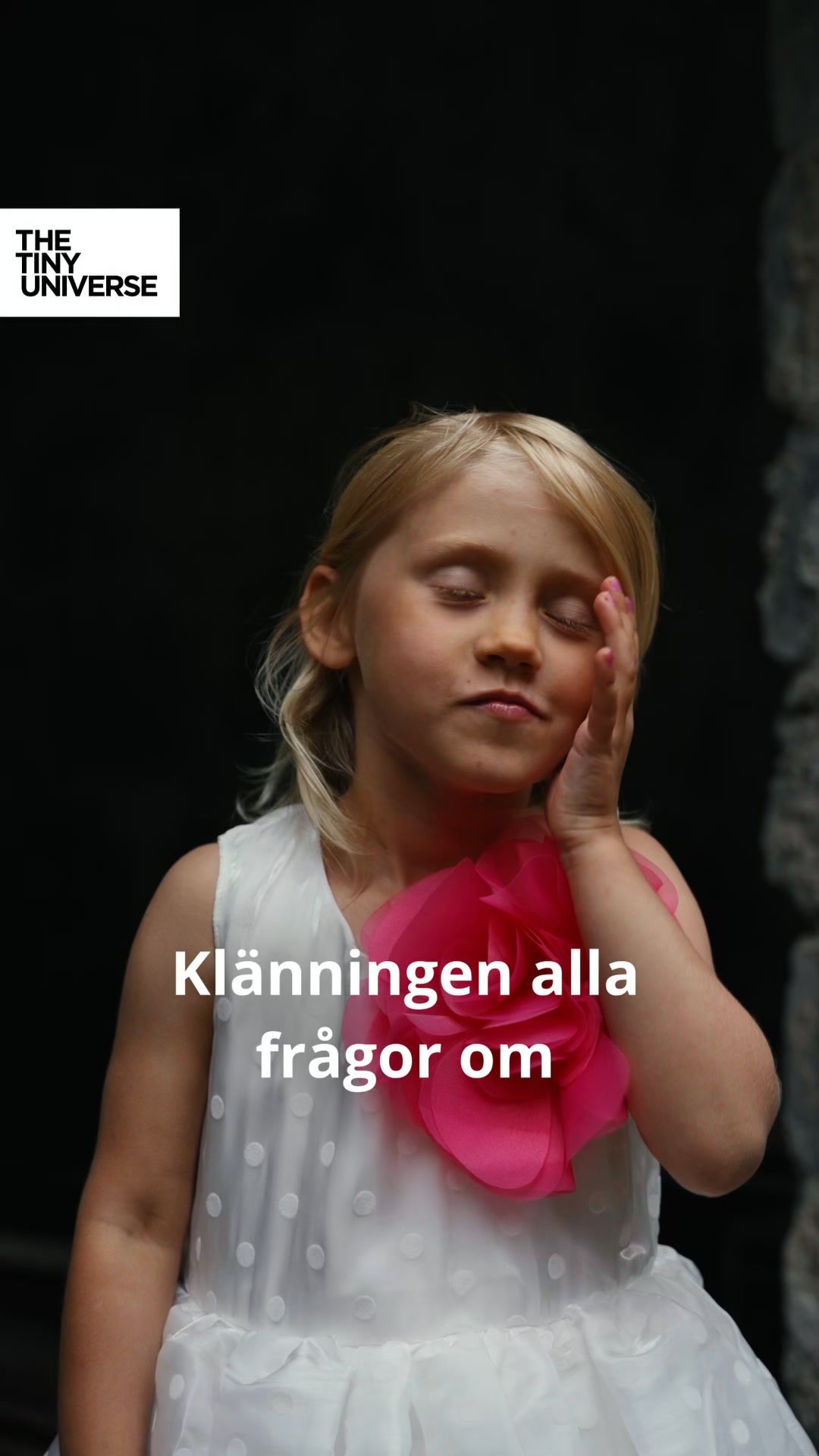 Fri frakt på hela kollektionen
