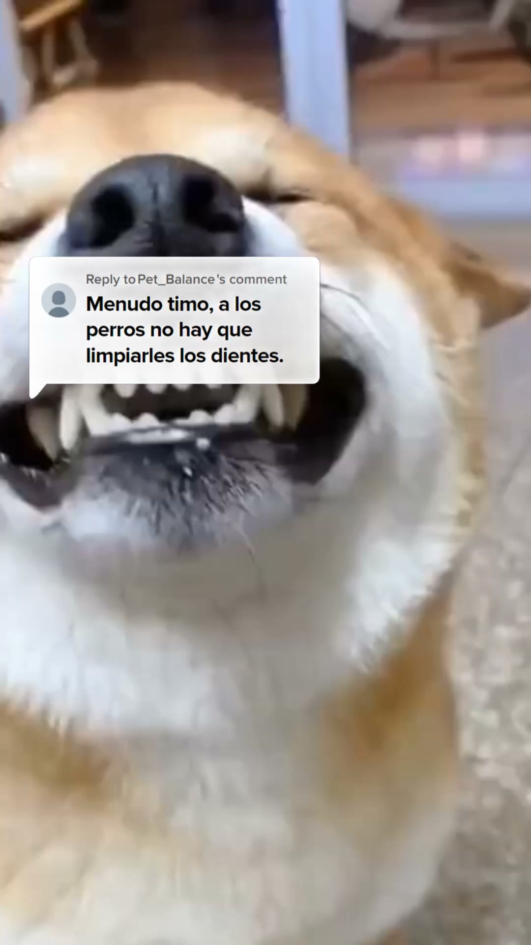 ENVÍOS GRATIS + PAGAS AL RECIBIR