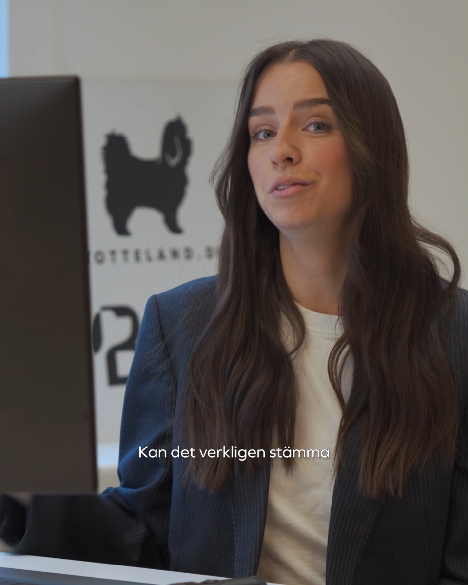 Ska en hundtrimmer kosta +2 300 kr?