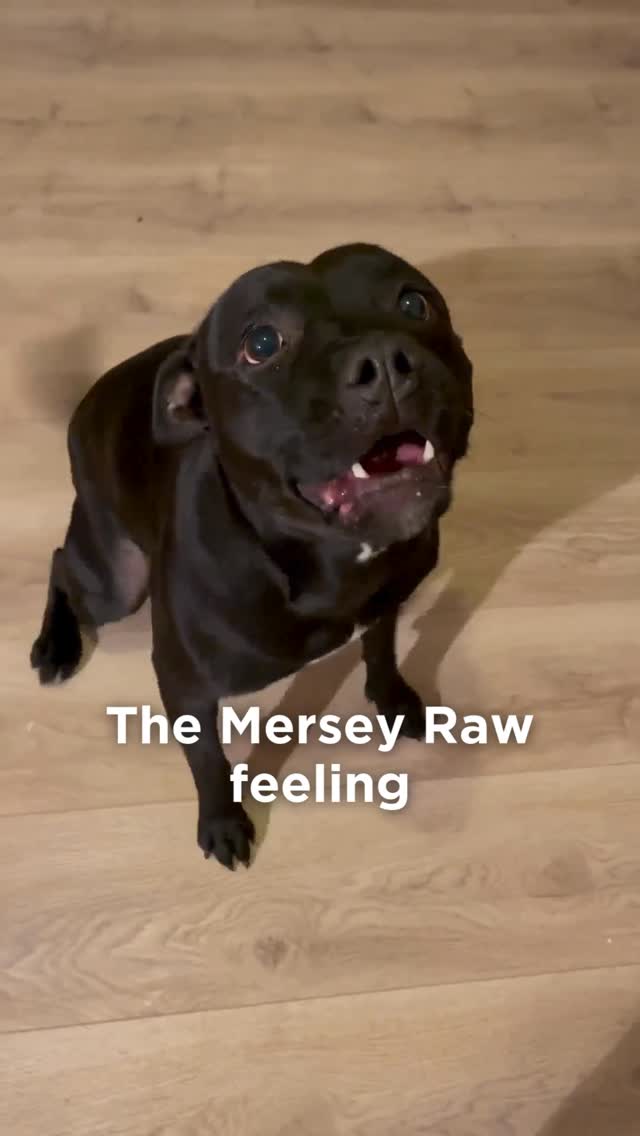 Anúncio de Mersey Raw