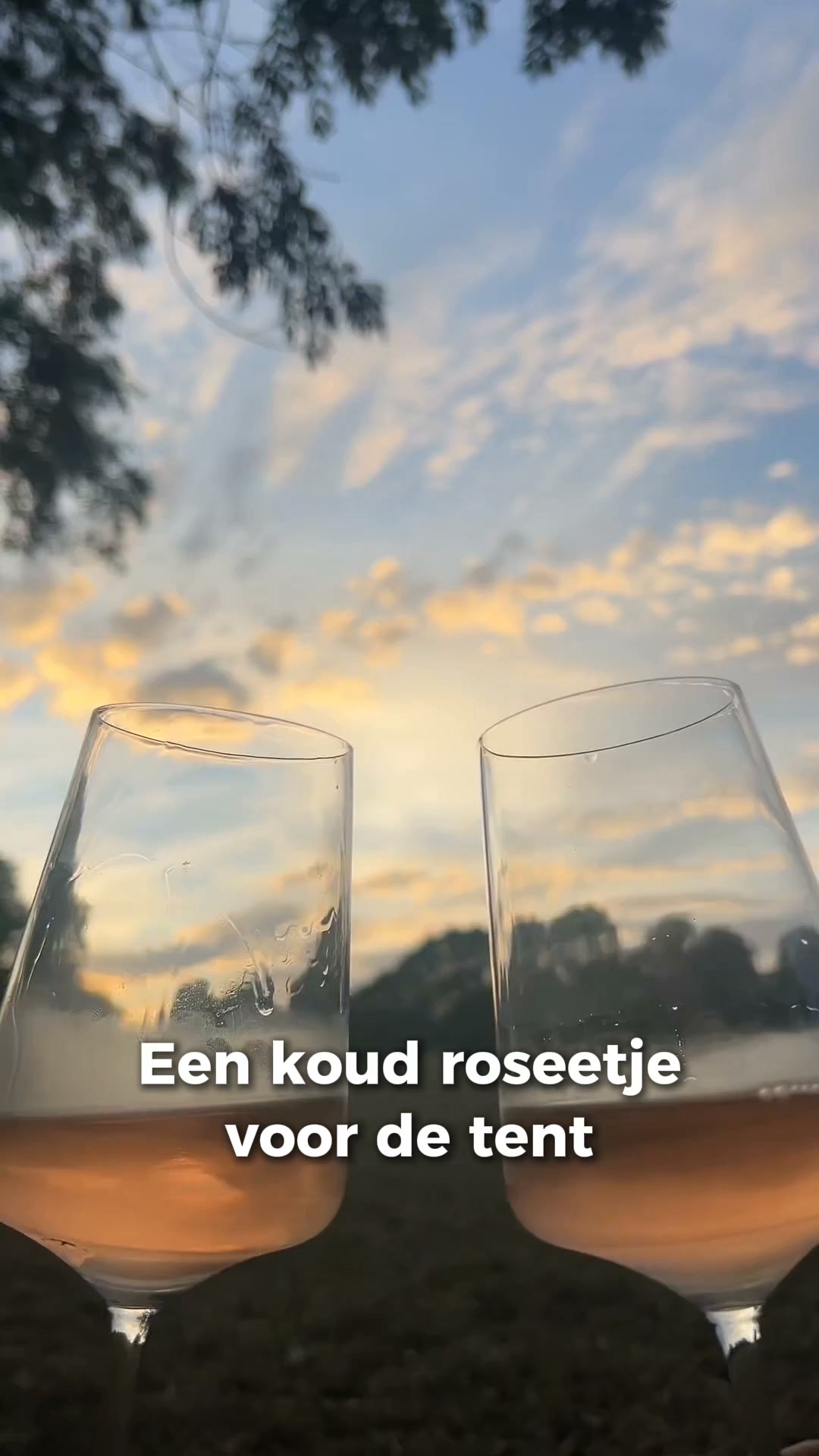 Koude rosé voor de tent, zonder op te staan