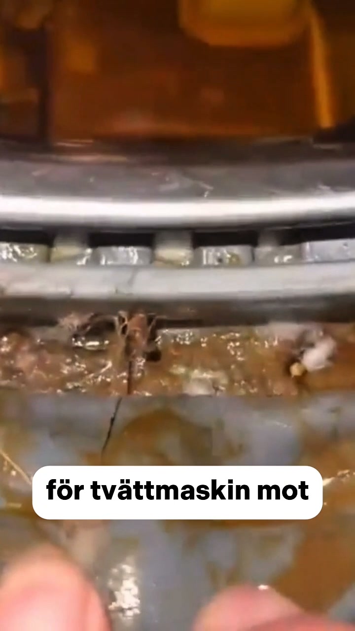 Enzymkapslar för tvättmaskinen