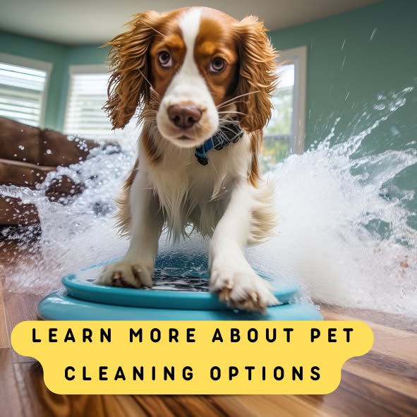 Learn more about pet cleaning options