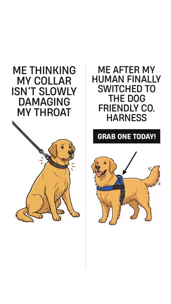 The Vet-Recommended Harness For Big Dogs