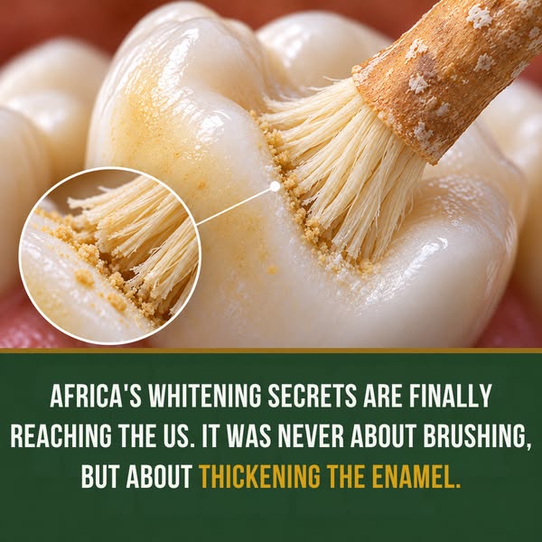 Try it today