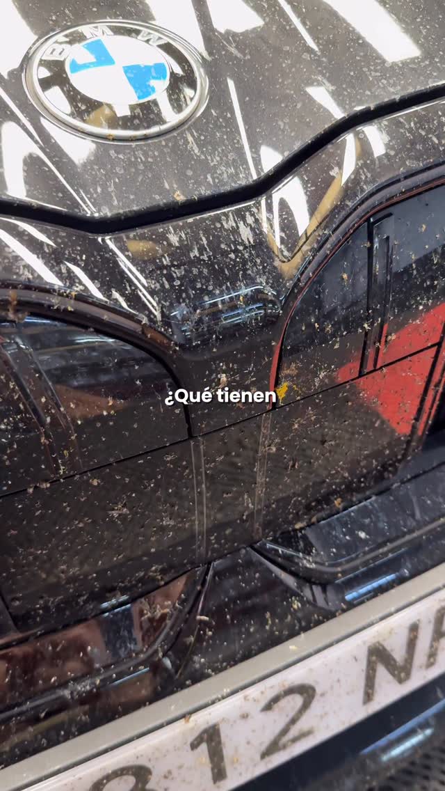 Anúncio de BassMotor