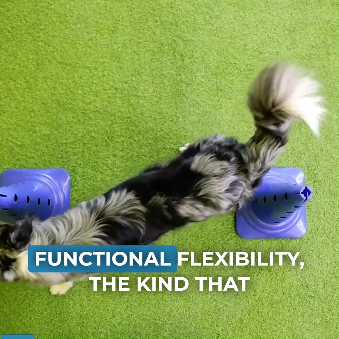 NEW: Mastering Mobility