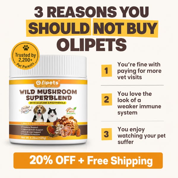 Stop trying to shrink lipomas the wrong way