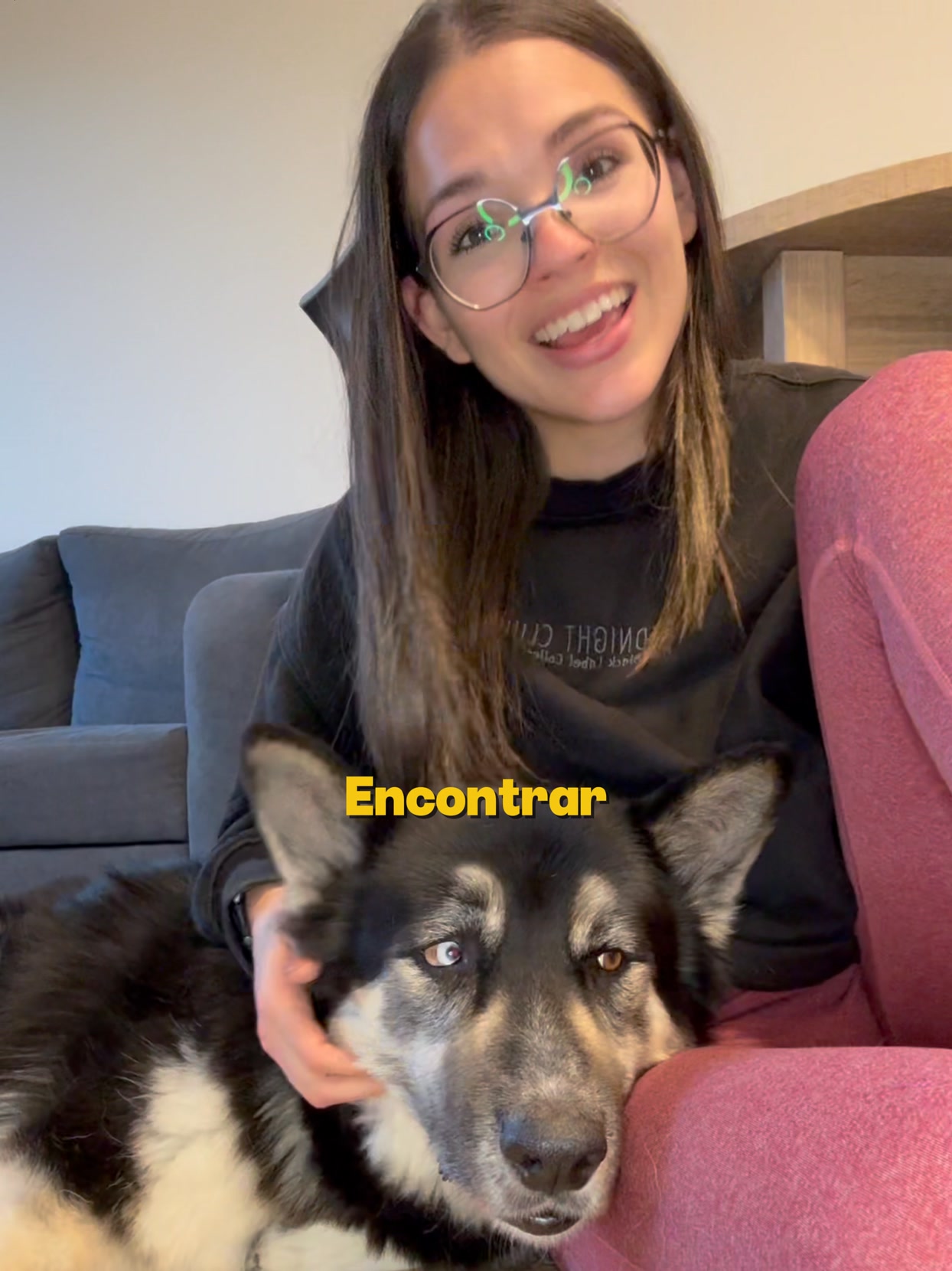 Entra en la calculadora de GUAU&CAT y descubre cuánto costaría alimentar mejor a tu perro