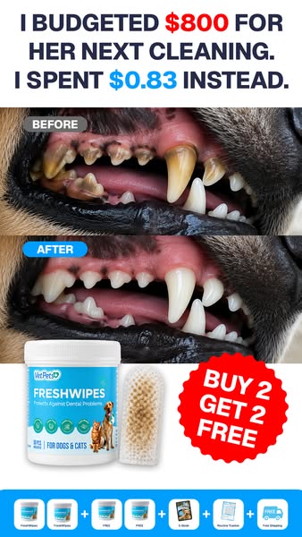 Finally - a dental wipe that actually works