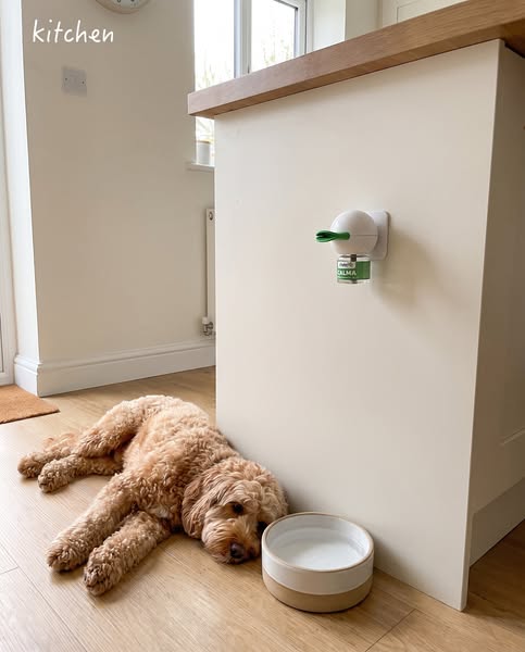 One Diffuser Per Room. Real Results In 2–4 Weeks.