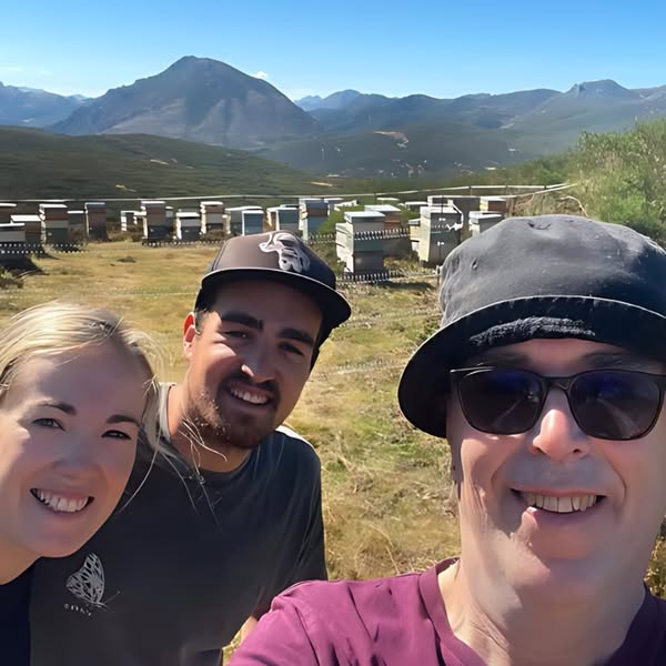‘Real Raw’ Honey From Artisan Beekeepers Without Needing To Travel