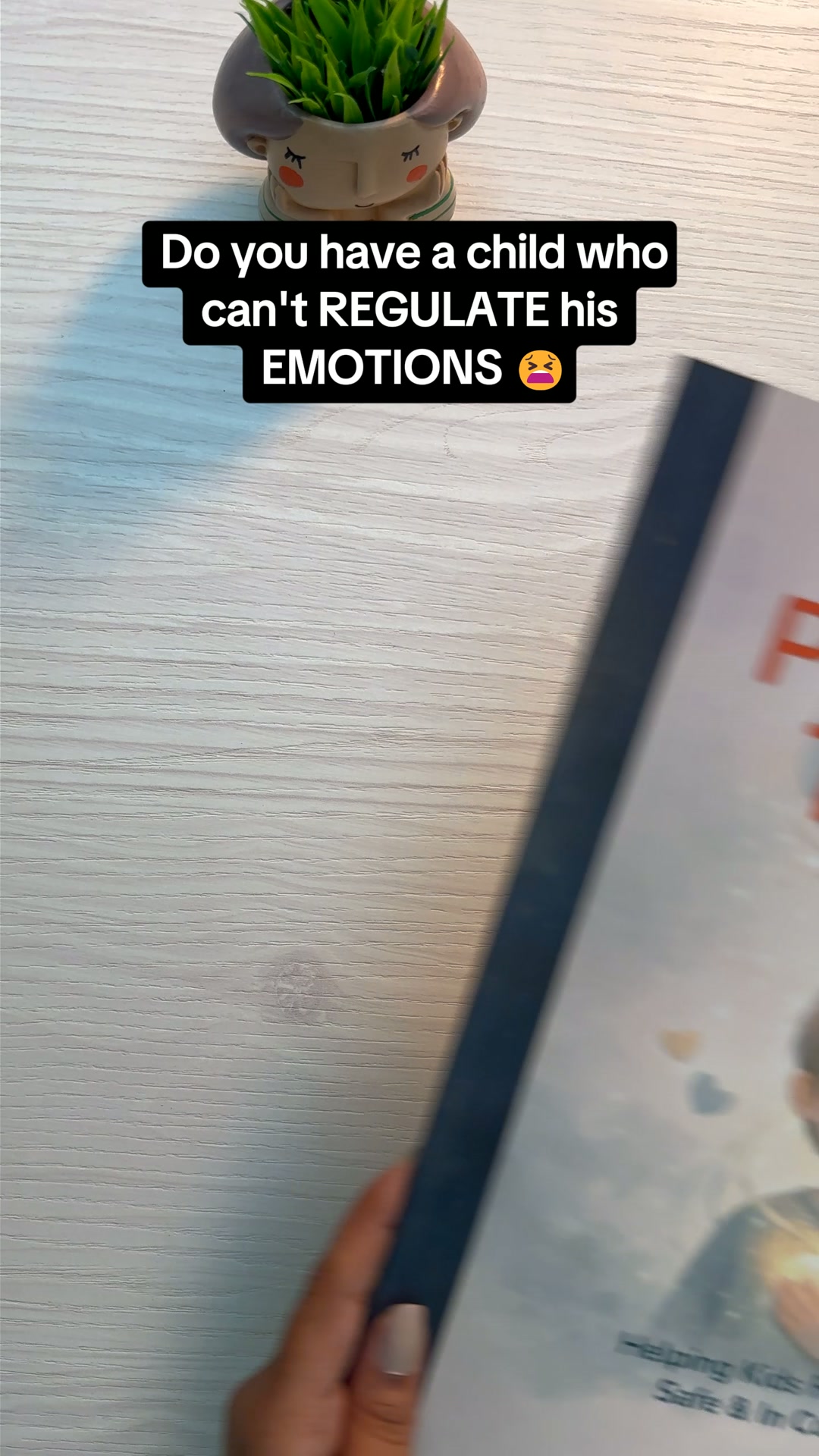 Do you have a child who cannot regulate their emotions - teach them how at 90% off today.