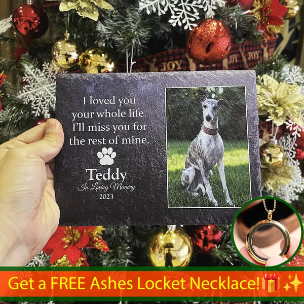 FREE Ashes Locket Necklace!