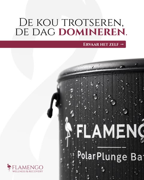 De kou trotseren, de dag domineren
