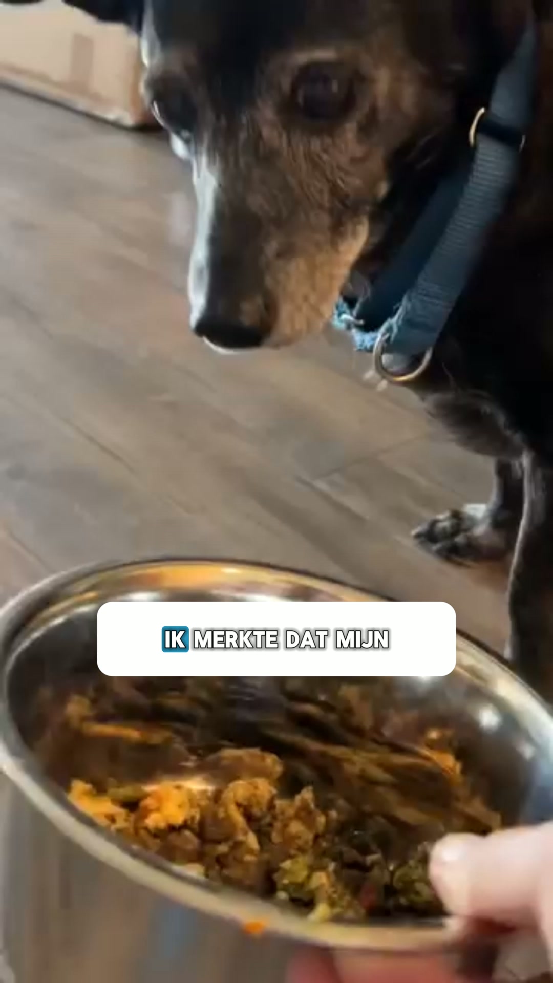 Geen tandenpoetsen. Geen stress. Gewoon gezondere tanden.
