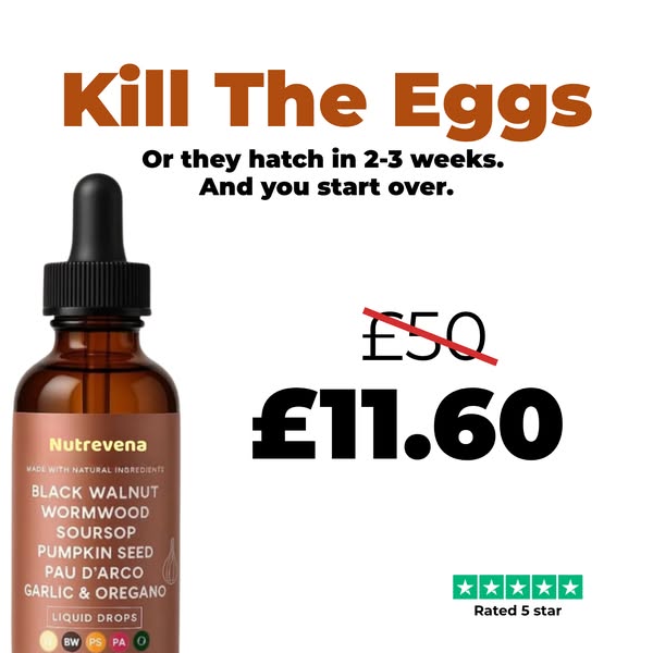 Everything you need, one formula