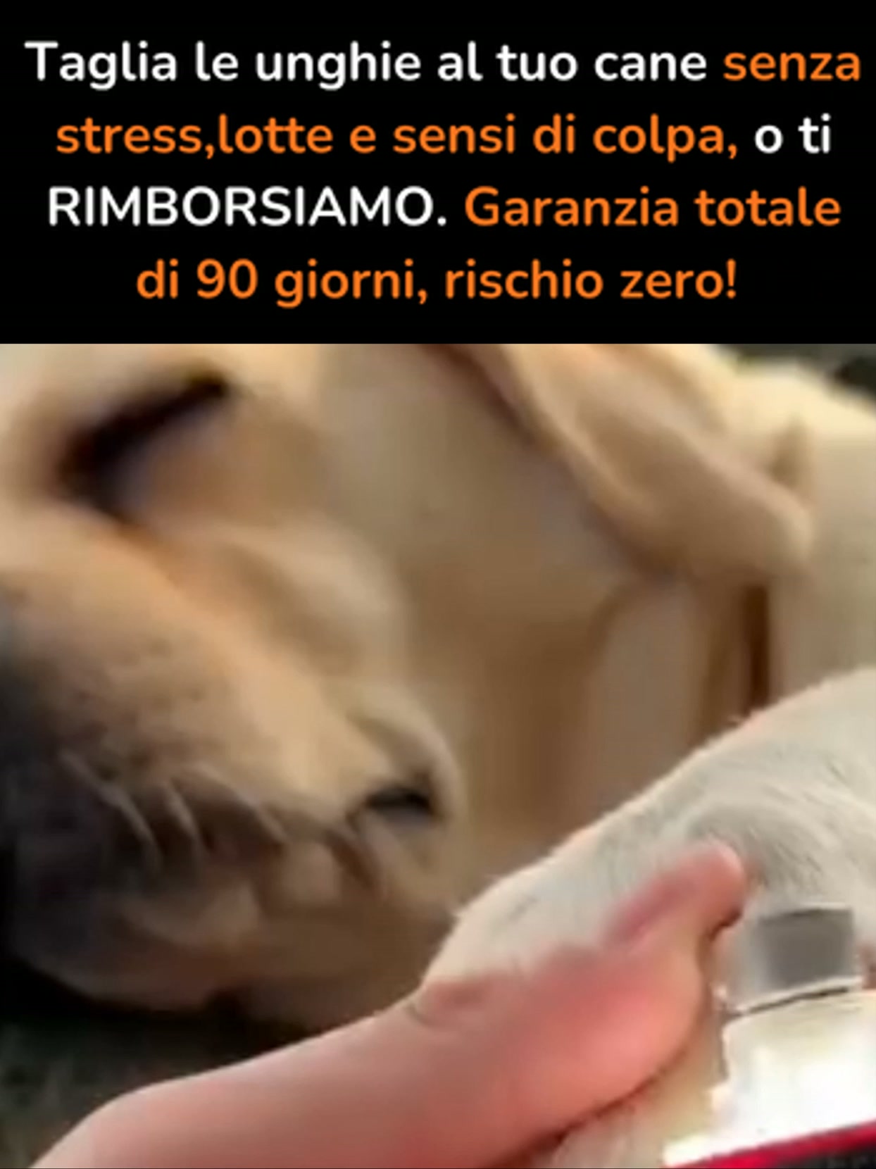 GARANZIA 90 GIORNI "NO STRESS O RIMBORSO"