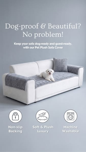 Sofa is much cleaner now..