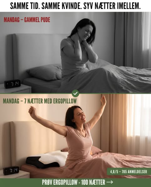 50% RABAT