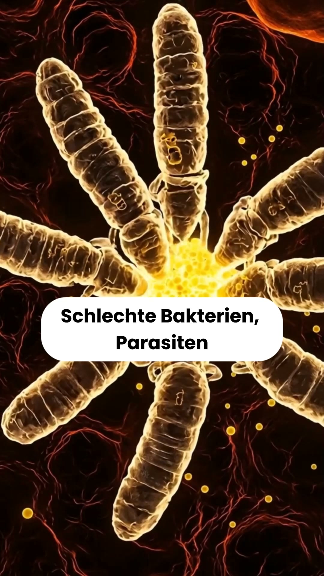 Spül raus, was nicht hinein gehört.