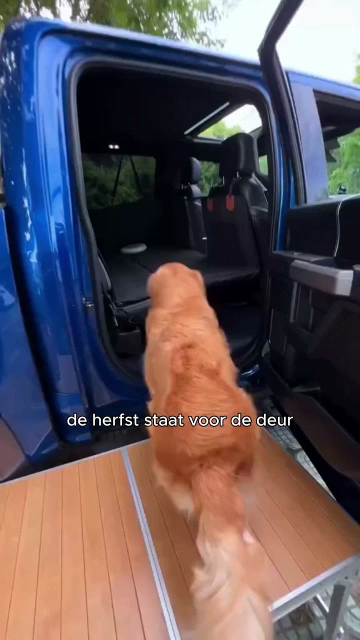 Te weinig ruimte op de achterbank?