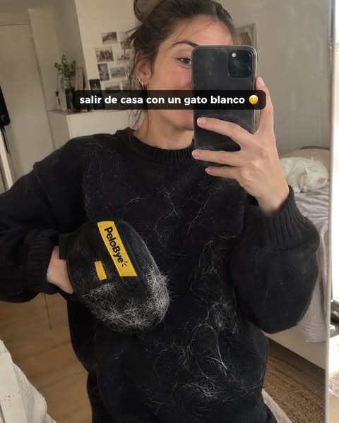 Sal de casa sin pelos de gato