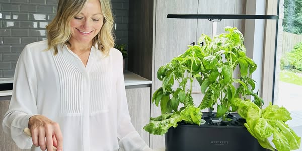 The Smart Kitchen Upgrade You Didn’t Know You Needed