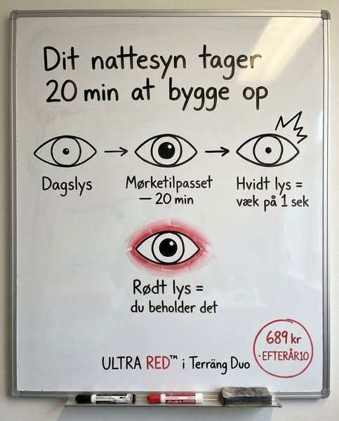 1.000 lumen. Op til 69 timer.