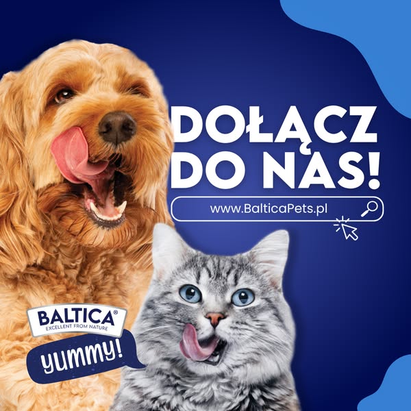 Twój pupil pokocha Baltica – sprawdź