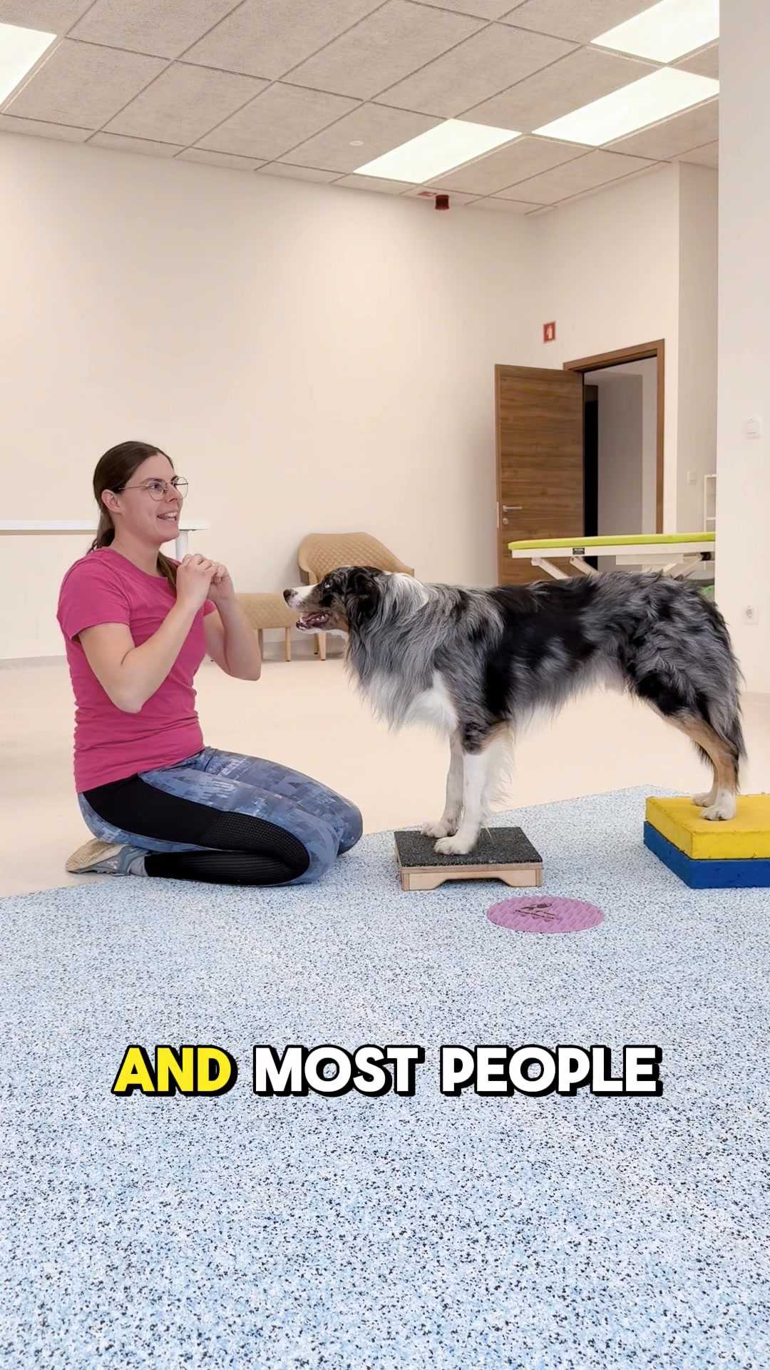 Shoulder Strength for Sport & Active Dogs