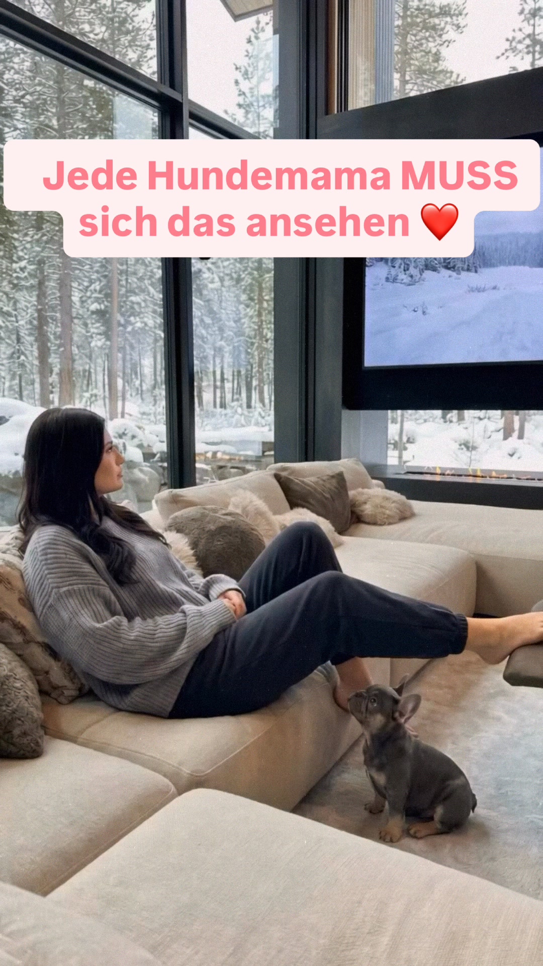 50 % Rabatt und versandkostenfrei