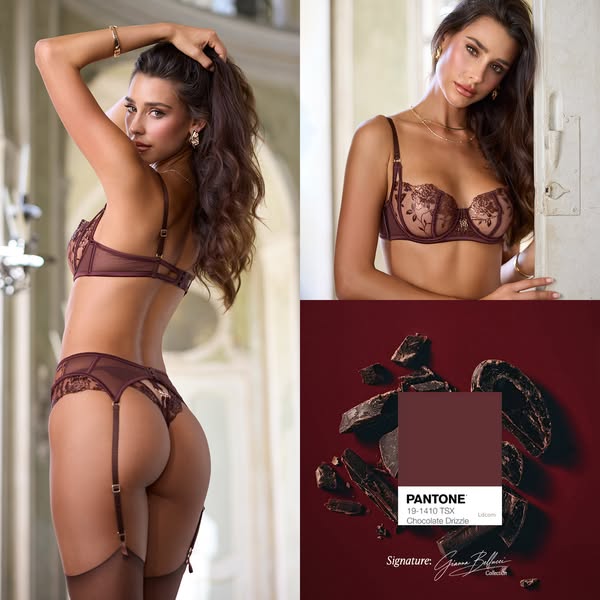 NEW "SIGNATURES" collection