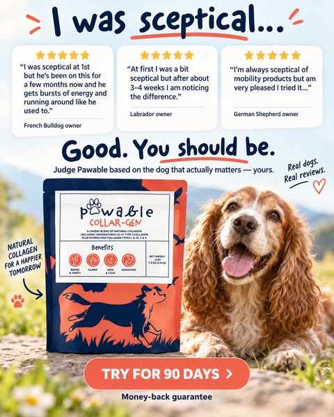 YOUR DOG. YOUR VERDICT.