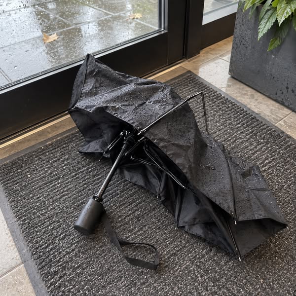 Äntligen ett paraply som håller måttet