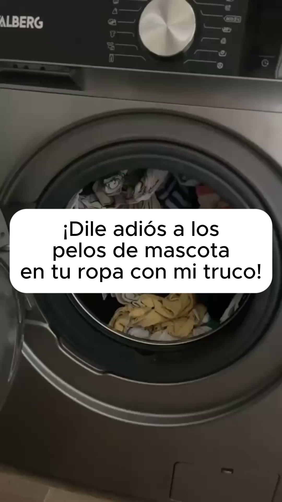3 gatos y ni un pelo en mi ropa