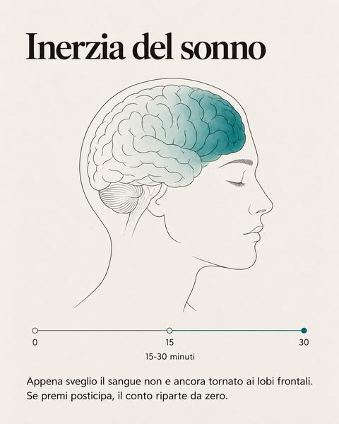 Si chiama inerzia del sonno