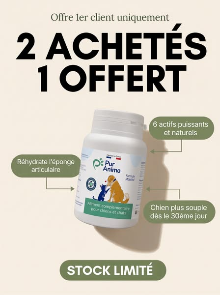 Facilite les mouvements au quotidien de votre chien