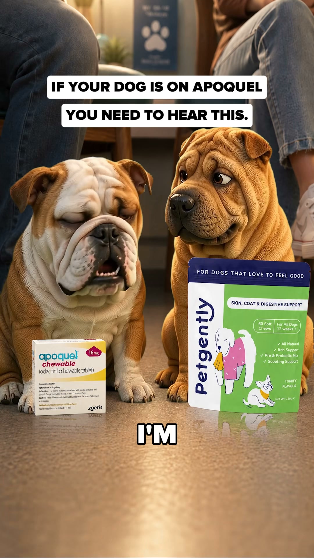 It's Not Your Dog's Skin. It's Their Gut.