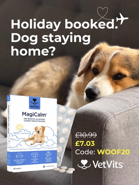 Natural Supplement for Anxious Dogs