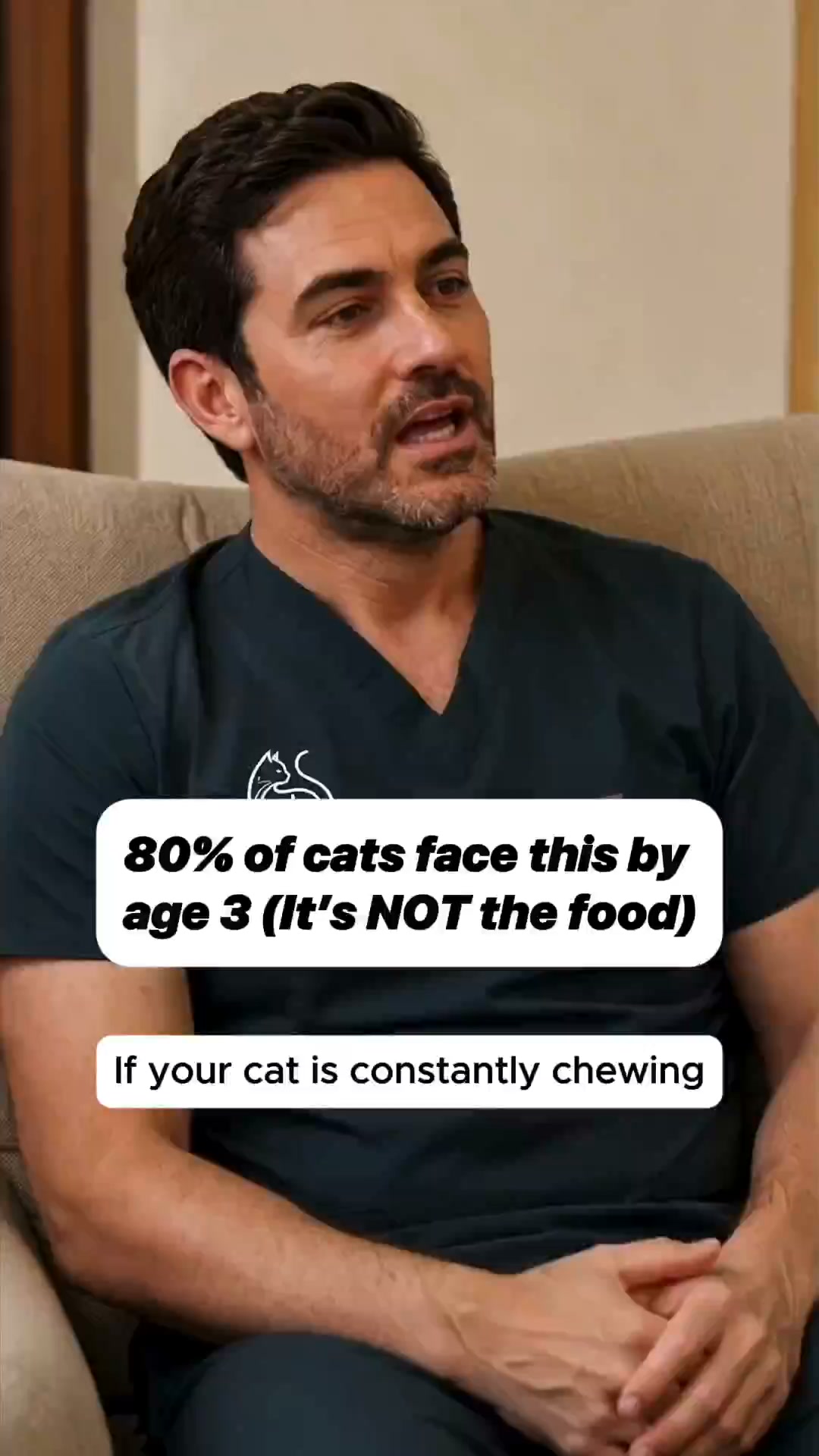 The $800 Problem Most Cat Owners Never See Coming