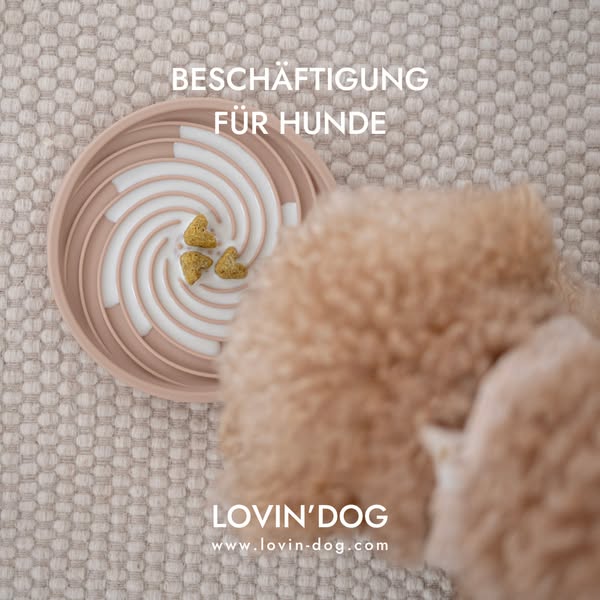 Spielerische Fütterung