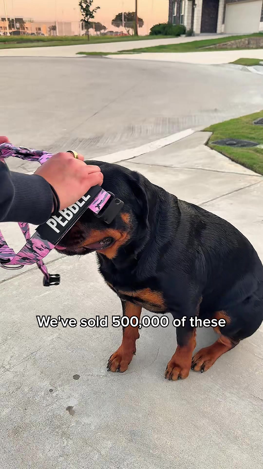 Rated #1 By Dog Owners