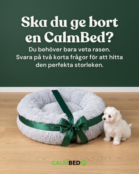 Present till en hundägare?