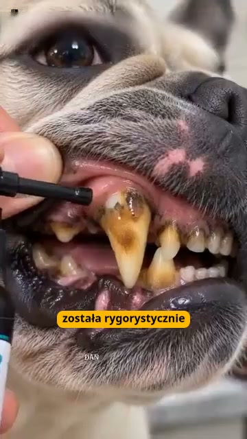 Płatność za pobraniem