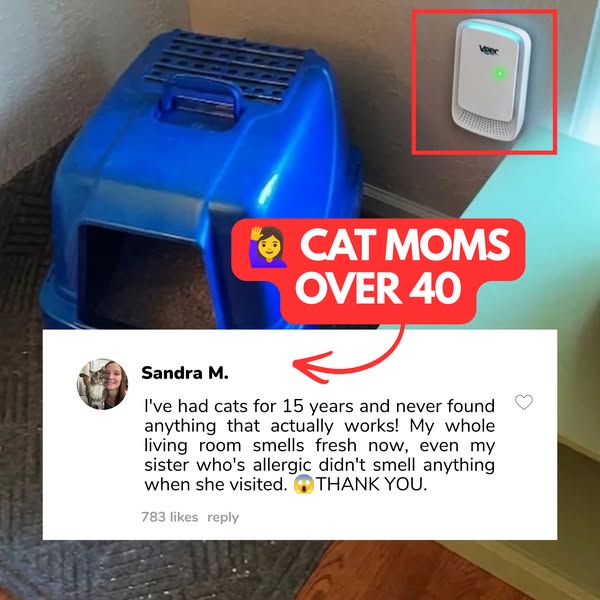 Get Rid of the Cat Pee Smell In Your Home (MUST READ)