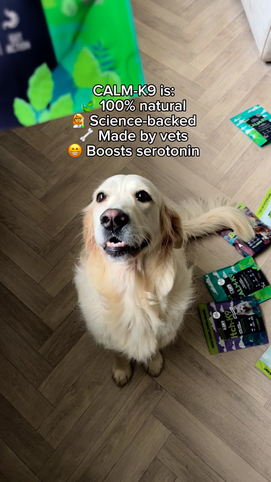 Peace of mind for dogs