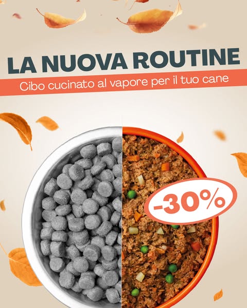 Tornare alla Routine